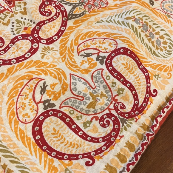 Pottery Barn shams🧡 - Picture 6 of 11